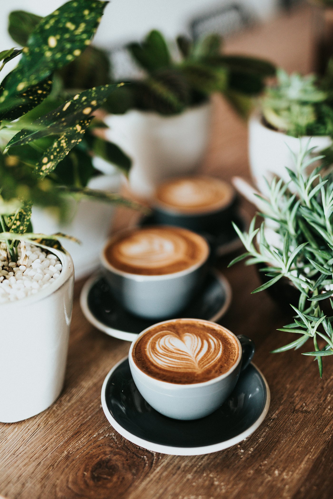 Flat White